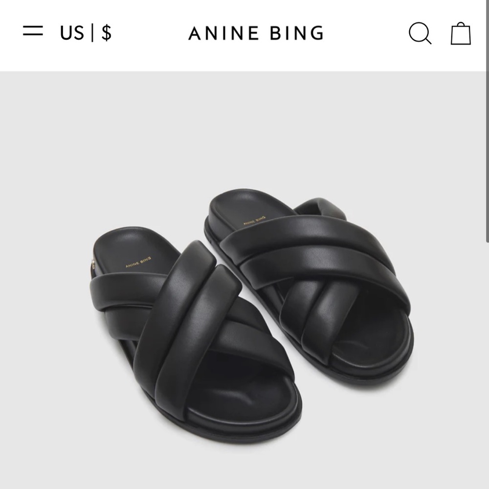 Anine Bing Lizzie slides